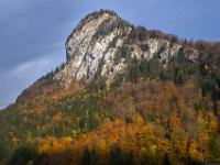 Herbstwald unter der Überhängenden Wand